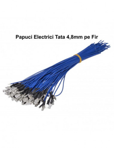 Papuc Electric 4