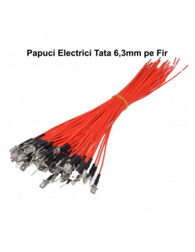 Papuc Electric 6